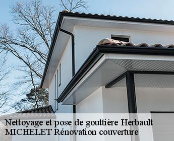 Nettoyage et pose de gouttière 41190