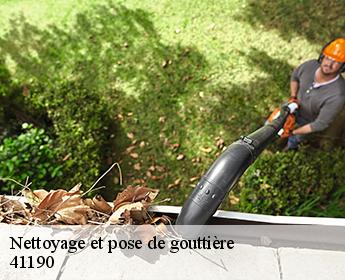 Nettoyage et pose de gouttière 41190
