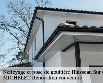 Nettoyage et pose de gouttière 41350