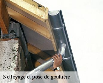 Nettoyage et pose de gouttière