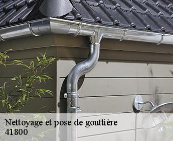 Nettoyage et pose de gouttière  41800