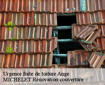 Urgence fuite de toiture  ange-41400 MICHELET Rénovation couverture