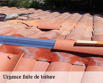 Urgence fuite de toiture  41800