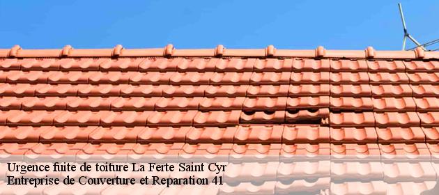 Urgence fuite de toiture  la-ferte-saint-cyr-41220 Entreprise de Couverture et Reparation 41