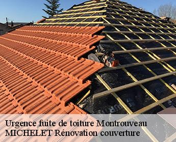 Urgence fuite de toiture  41800