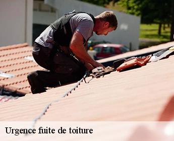 Urgence fuite de toiture