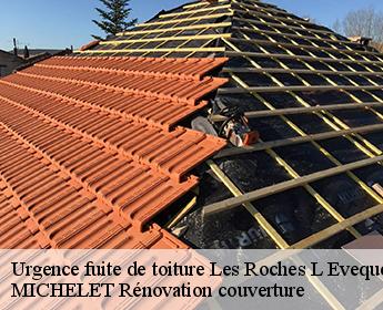 Urgence fuite de toiture  41800