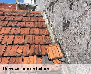 Urgence fuite de toiture