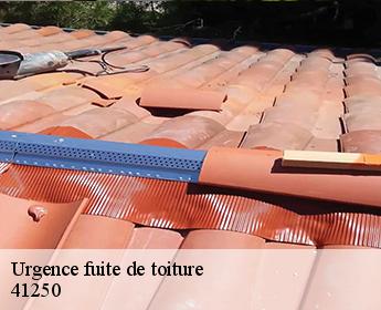 Urgence fuite de toiture 41250