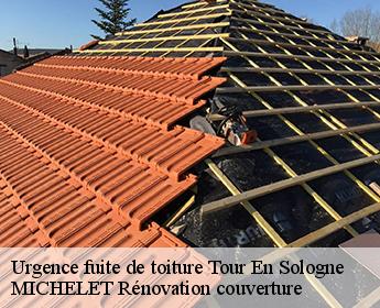 Urgence fuite de toiture 41250