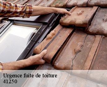Urgence fuite de toiture 41250