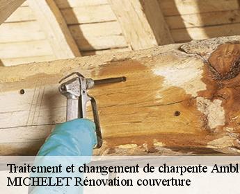 Traitement et changement de charpente  ambloy-41310 MICHELET Rénovation couverture