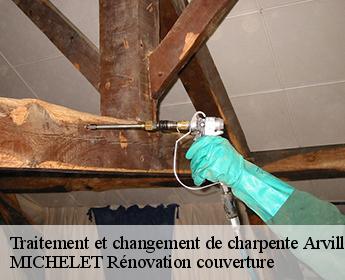 Traitement et changement de charpente  41170