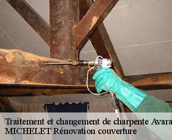 Traitement et changement de charpente  41500