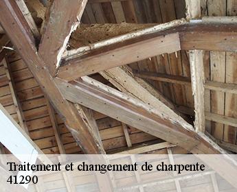 Traitement et changement de charpente  41290