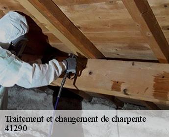 Traitement et changement de charpente