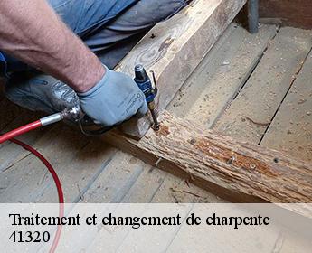 Traitement et changement de charpente  41320