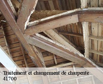 Traitement et changement de charpente  41700