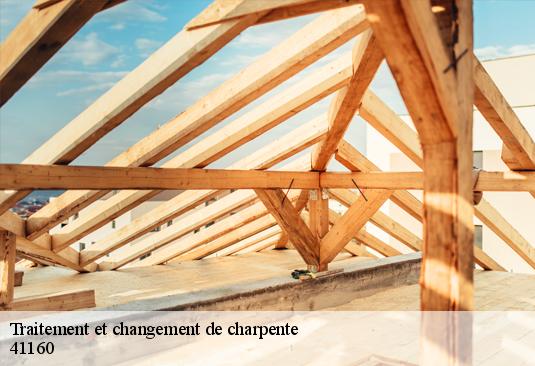 Traitement et changement de charpente  41160