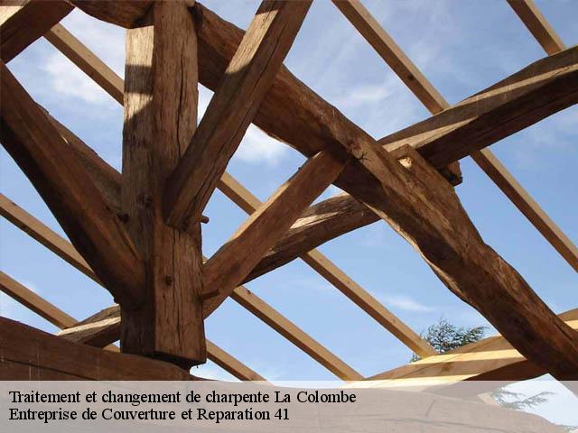 Traitement et changement de charpente  41160