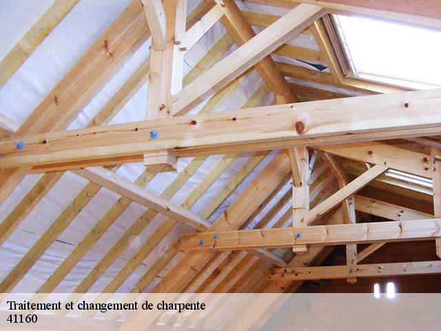 Traitement et changement de charpente  41160