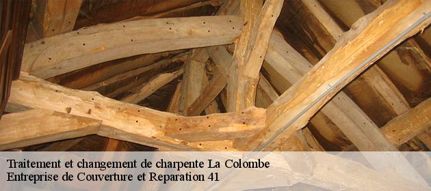 Traitement et changement de charpente  la-colombe-41160 Entreprise de Couverture et Reparation 41