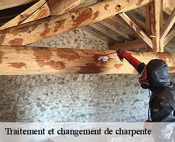 Traitement et changement de charpente