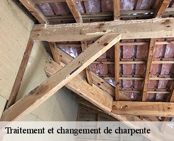 Traitement et changement de charpente