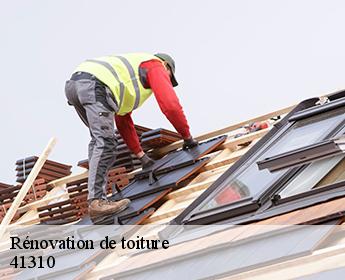 Rénovation de toiture  41310