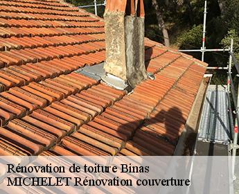 Rénovation de toiture  41240