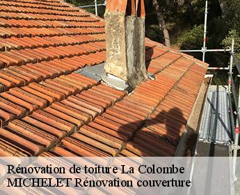 Rénovation de toiture  41160