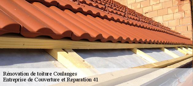 Rénovation de toiture  coulanges-41150 Entreprise de Couverture et Reparation 41