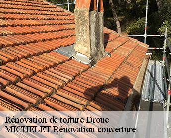 Rénovation de toiture  41270