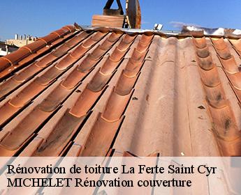 Rénovation de toiture  la-ferte-saint-cyr-41220 MICHELET Rénovation couverture