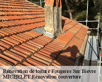 Rénovation de toiture  41120