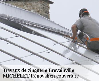 Travaux de zinguerie  brevainville-41160 MICHELET Rénovation couverture