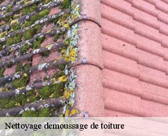 Nettoyage demoussage de toiture  41170