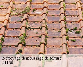 Nettoyage demoussage de toiture