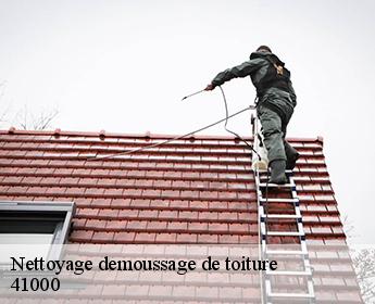 Nettoyage demoussage de toiture  41000