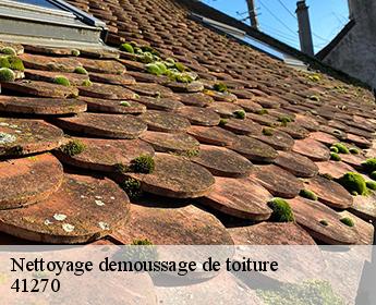 Nettoyage demoussage de toiture  41270