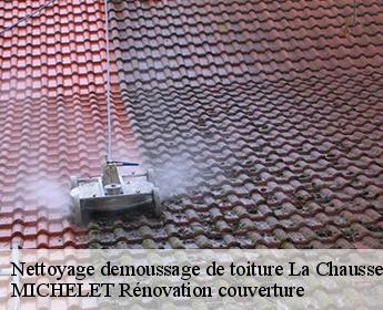 Nettoyage demoussage de toiture la-chaussee-saint-victor-41260 MICHELET Rénovation couverture