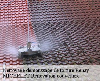 Nettoyage demoussage de toiture  renay-41100 MICHELET Rénovation couverture