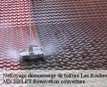 Nettoyage demoussage de toiture  les-roches-l-eveque-41800 MICHELET Rénovation couverture