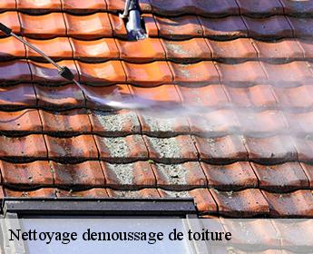 Nettoyage demoussage de toiture