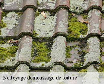 Nettoyage demoussage de toiture