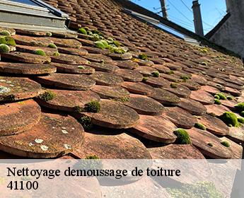 Nettoyage demoussage de toiture  41100