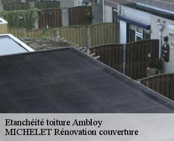 Etanchéité toiture  ambloy-41310 MICHELET Rénovation couverture