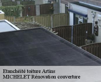 Etanchéité toiture  artins-41800 MICHELET Rénovation couverture