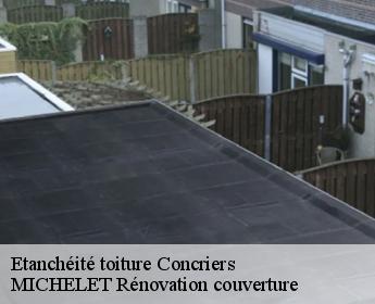 Etanchéité toiture  concriers-41370 MICHELET Rénovation couverture