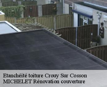 Etanchéité toiture crouy-sur-cosson-41220 MICHELET Rénovation couverture
